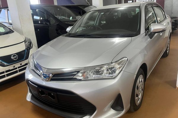 Ref5996ToyotaAxio01