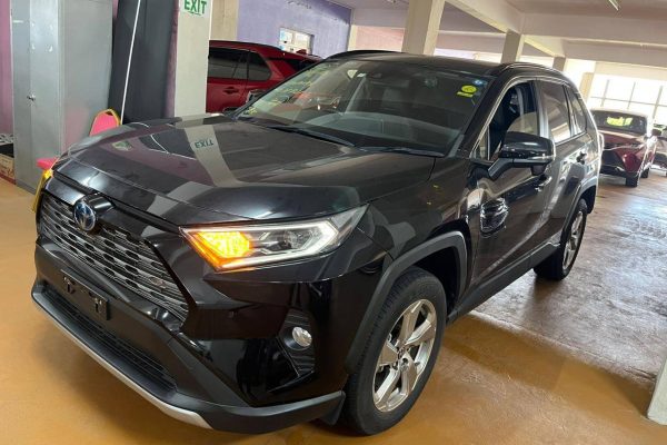 Ref6921Rav4hybridpetrolG05